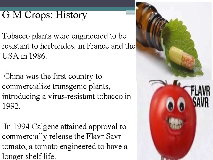 G M Crops: History Tobacco plants were engineered to be resistant to herbicides. in