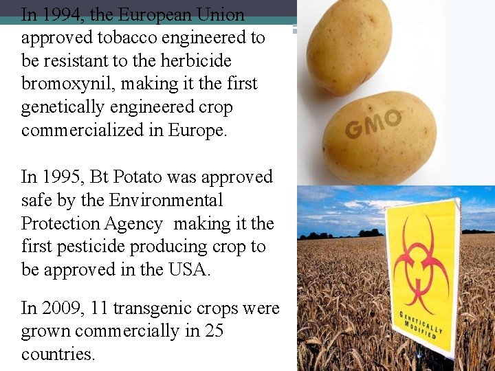 In 1994, the European Union approved tobacco engineered to be resistant to the herbicide