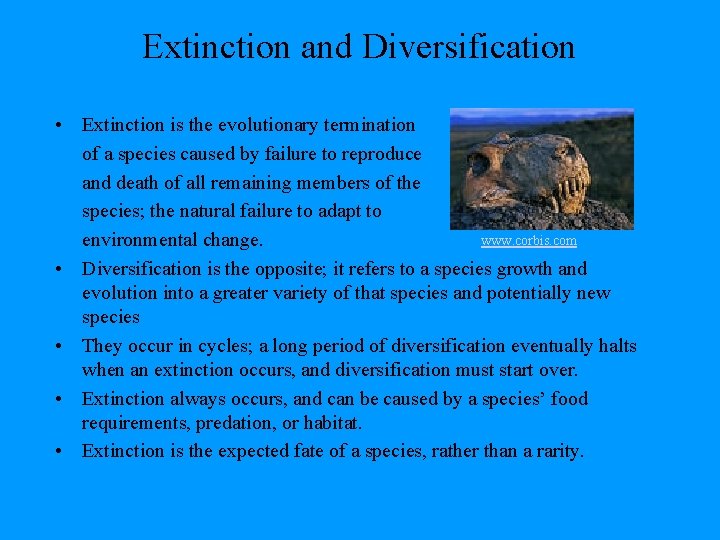 Extinction and Diversification • Extinction is the evolutionary termination of a species caused by Extinction and Diversification • Extinction is the evolutionary termination of a species caused by