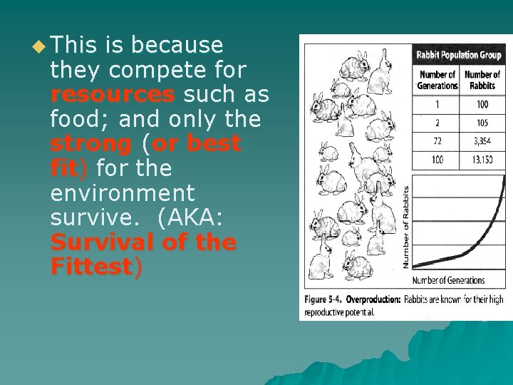 u This is because they compete for resources such as food; and only the