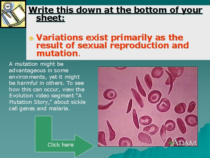 Write this down at the bottom of your sheet: u Variations exist primarily as