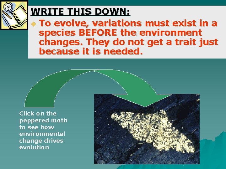 WRITE THIS DOWN: u To evolve, variations must exist in a species BEFORE the