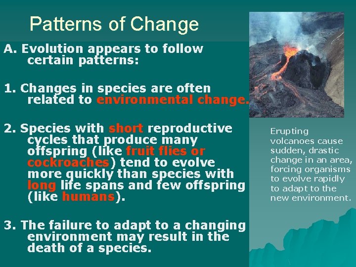 Patterns of Change A. Evolution appears to follow certain patterns: 1. Changes in species
