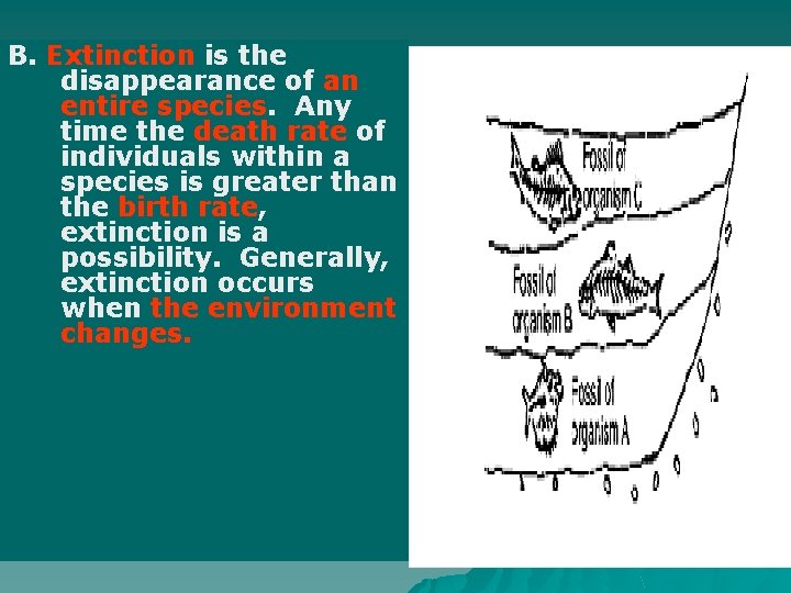 B. Extinction is the disappearance of an entire species. Any time the death rate
