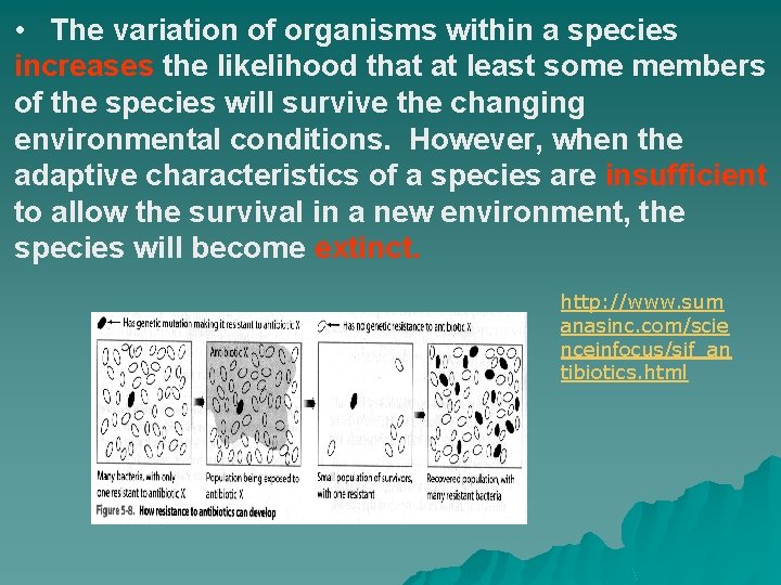  • The variation of organisms within a species increases the likelihood that at