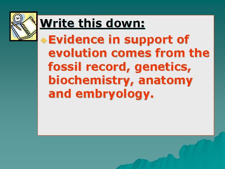 Write this down: u Evidence in support of evolution comes from the fossil record,