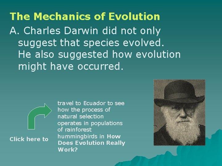 The Mechanics of Evolution A. Charles Darwin did not only suggest that species evolved.