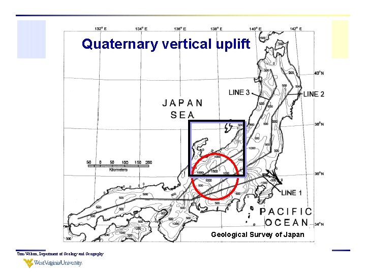 Quaternary vertical uplift Geological Survey of Japan Tom Wilson, Department of Geology and Geography
