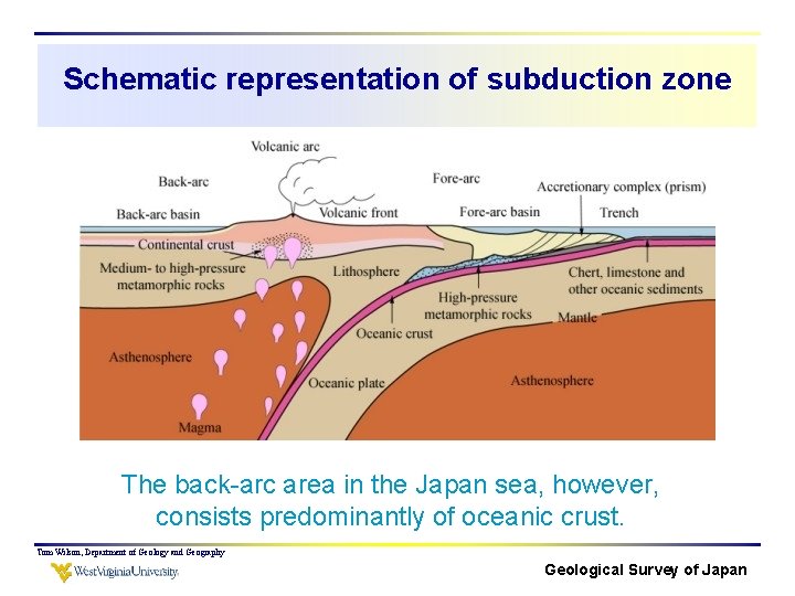 Schematic representation of subduction zone The back-arc area in the Japan sea, however, consists