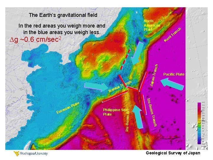 The Earth’s gravitational field North American Plate In the red areas you weigh more