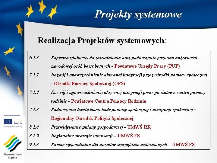 Projekty systemowe Realizacja Projektów systemowych: 6. 1. 3 Poprawa zdolności do zatrudnienia oraz podnoszenie