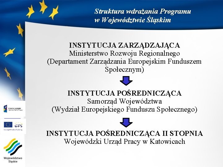 Struktura wdrażania Programu w Województwie Śląskim INSTYTUCJA ZARZĄDZAJĄCA Ministerstwo Rozwoju Regionalnego (Departament Zarządzania Europejskim