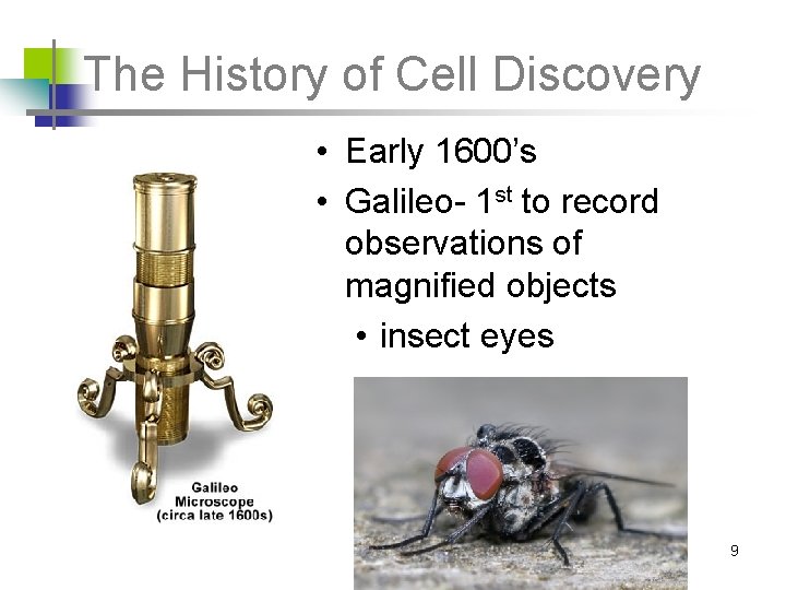 The History of Cell Discovery • Early 1600’s • Galileo- 1 st to record