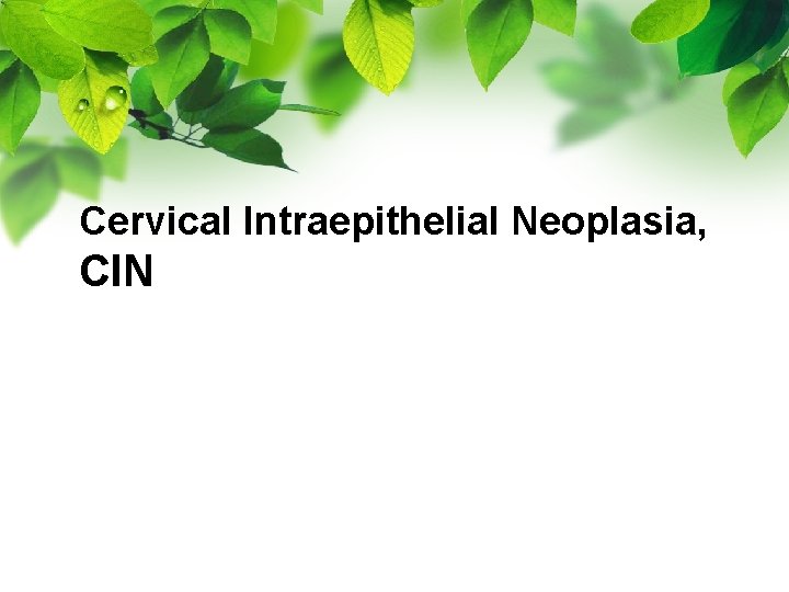 Cervical Intraepithelial Neoplasia, CIN 