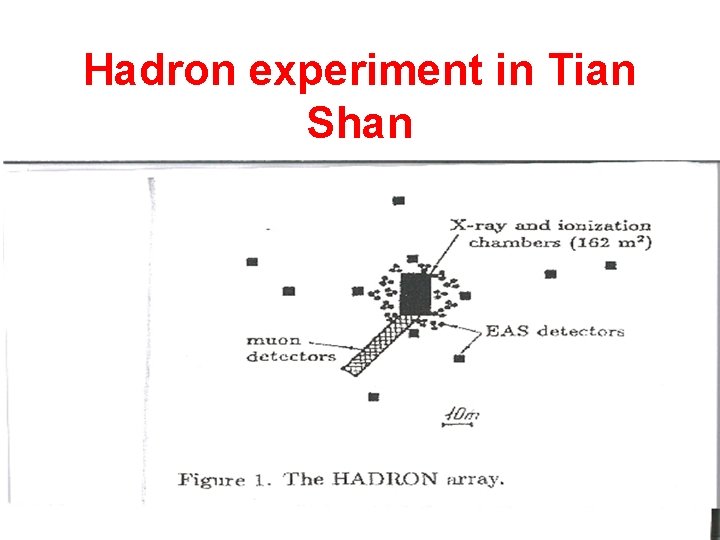 Hadron experiment in Tian Shan 