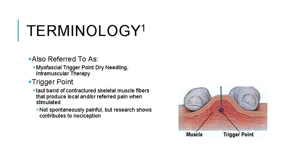 1 TERMINOLOGY §Also Referred To As: § Myofascial Trigger Point Dry Needling, Intramuscular Therapy