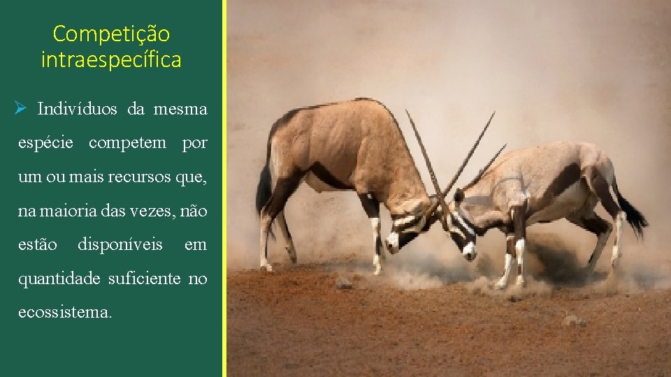 Competição intraespecífica Ø Indivíduos da mesma espécie competem por um ou mais recursos que,