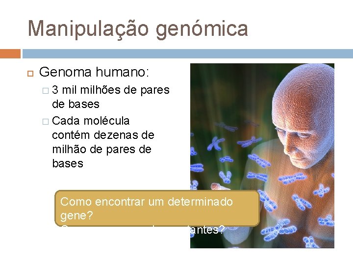 Manipulação genómica Genoma humano: � 3 milhões de pares de bases � Cada molécula