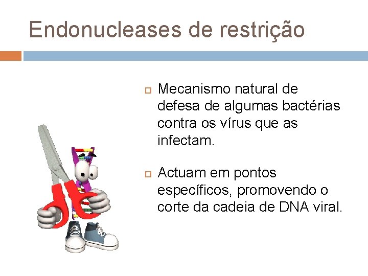 Endonucleases de restrição Mecanismo natural de defesa de algumas bactérias contra os vírus que