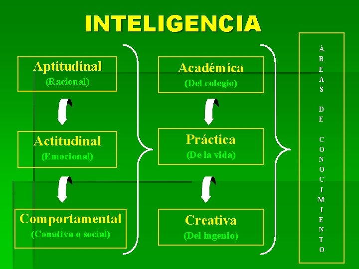 INTELIGENCIA Aptitudinal Académica (Racional) (Del colegio) Á R E A S D E Actitudinal