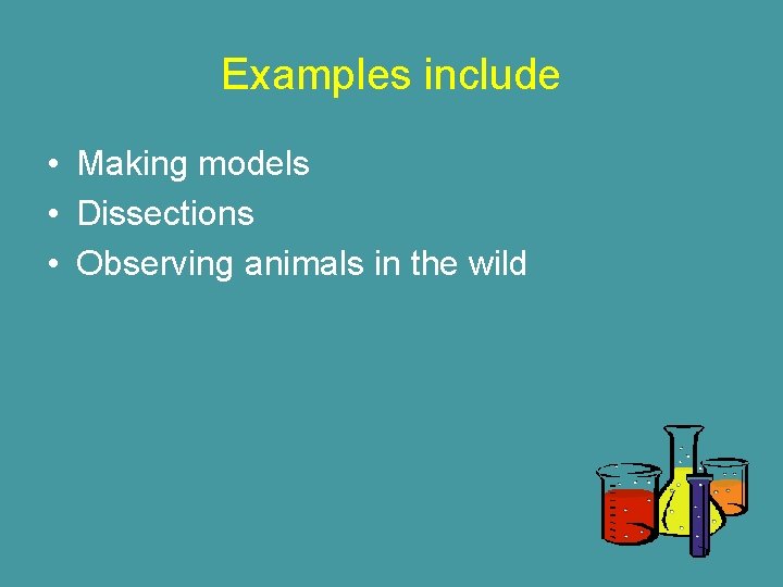 Examples include • Making models • Dissections • Observing animals in the wild 