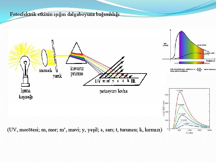 Fotoelektrik etkinin ışığın dalgaboyuna bağımlılığı (UV, morötesi; m, mor; m’, mavi; y, yeşil; s,