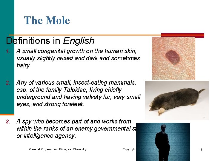 The Mole Definitions in English 1. A small congenital growth on the human skin,