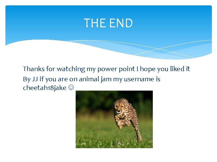 THE END Thanks for watching my power point I hope you liked it By