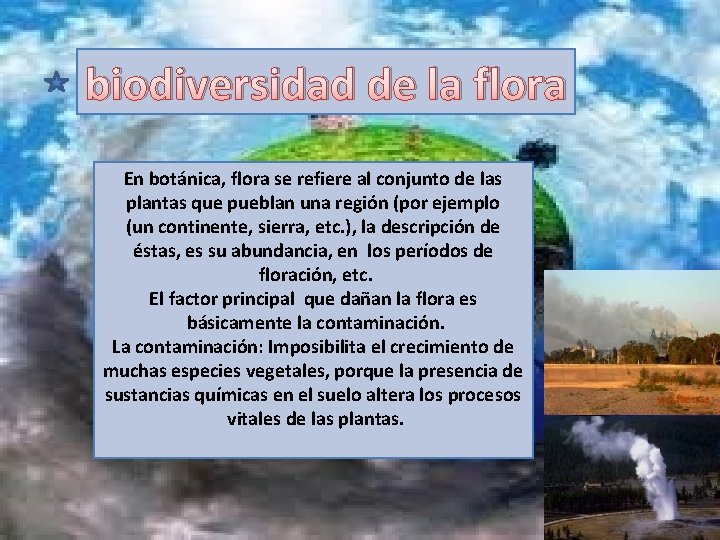 biodiversidad de la flora En botánica, flora se refiere al conjunto de las plantas