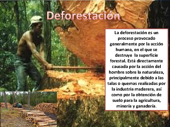 Deforestación La deforestación es un proceso provocado generalmente por la acción humana, en el