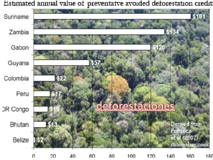 deforestaciones 