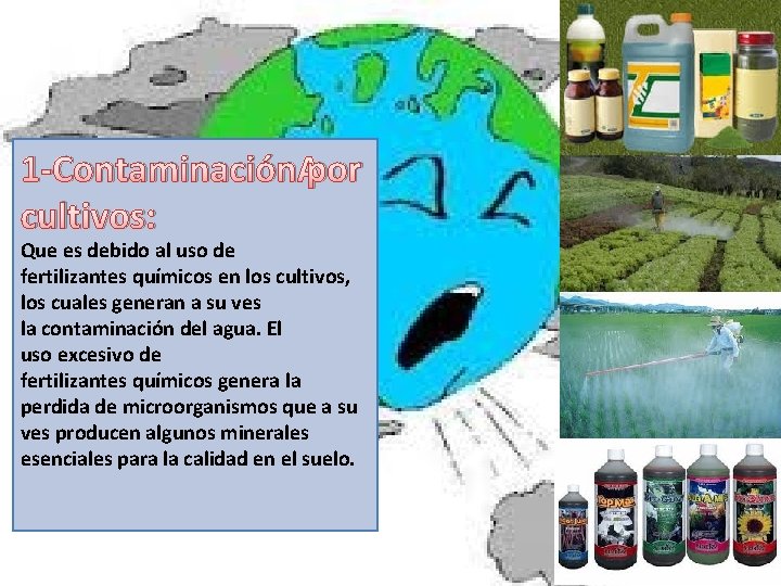 1 -Contaminación por cultivos: Que es debido al uso de fertilizantes químicos en los