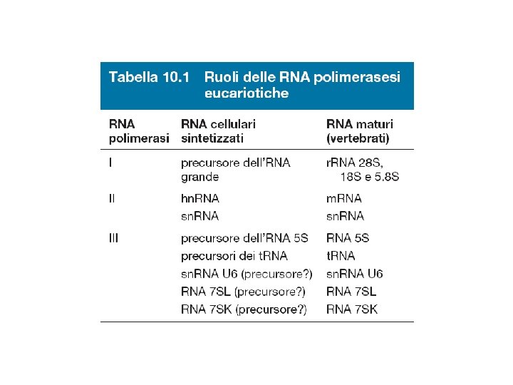Watson et al BIOLOGIA MOLECOLARE DEL GENE Zanichelli