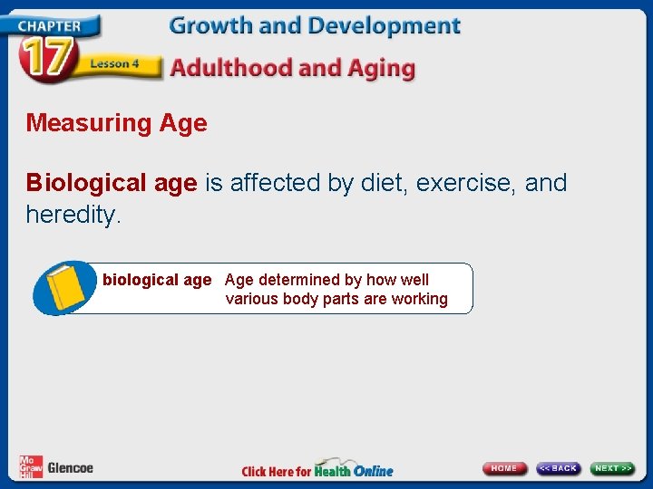 Measuring Age Biological age is affected by diet, exercise, and heredity. biological age Age