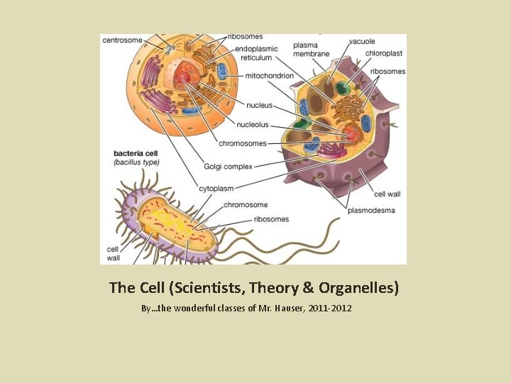 The Cell (Scientists, Theory & Organelles) By…the wonderful classes of Mr. Hauser, 2011 -2012