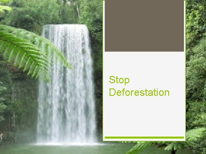 Stop Deforestation 