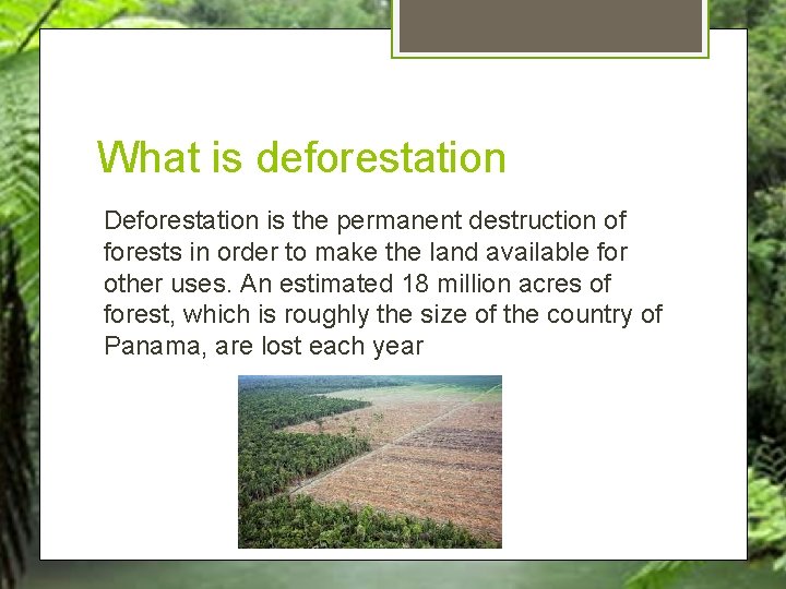 What is deforestation Deforestation is the permanent destruction of forests in order to make