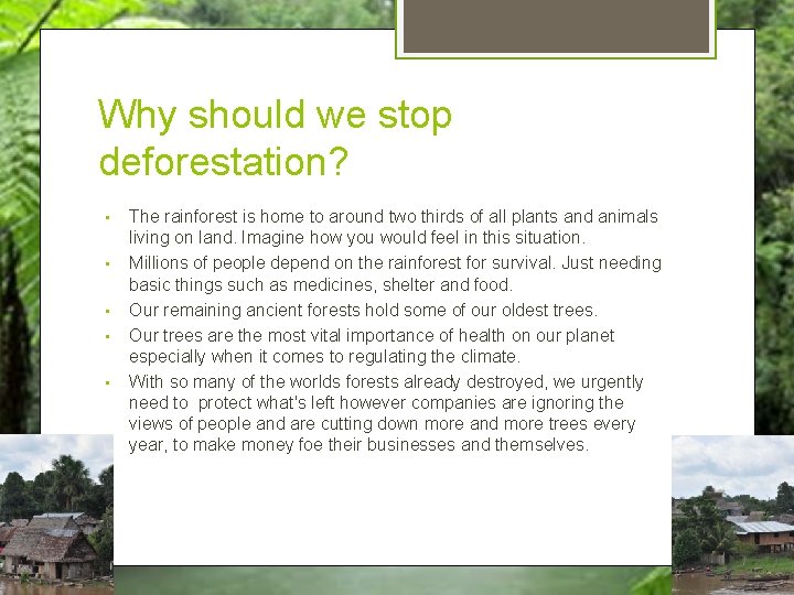 Why should we stop deforestation? • • • The rainforest is home to around