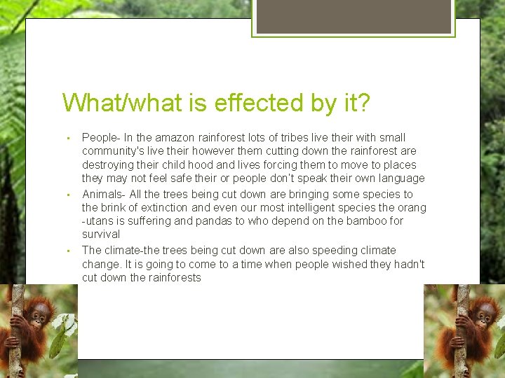 What/what is effected by it? • • • People- In the amazon rainforest lots