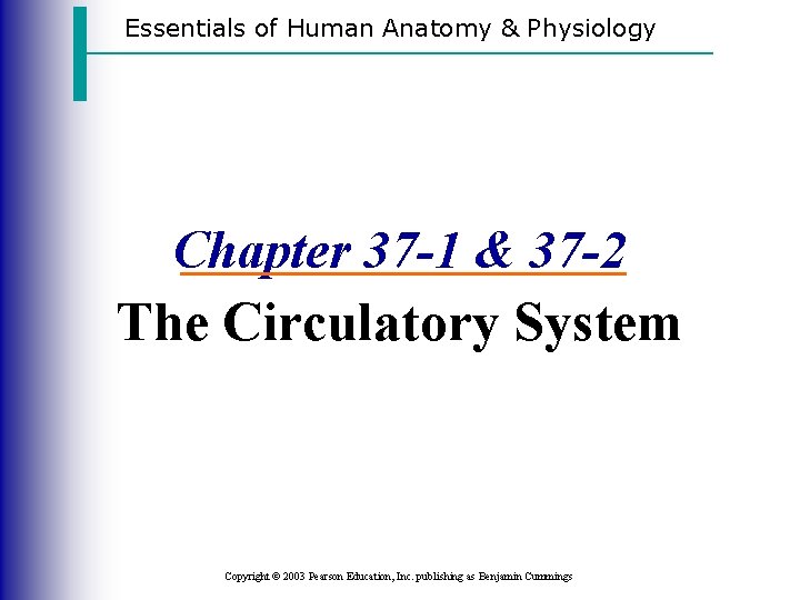 Essentials of Human Anatomy & Physiology Chapter 37 -1 & 37 -2 The Circulatory