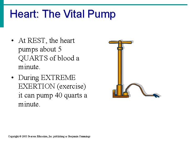 Heart: The Vital Pump • At REST, the heart pumps about 5 QUARTS of