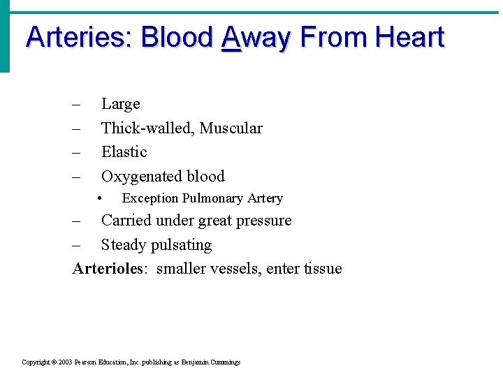 Arteries: Blood Away From Heart – – Large Thick-walled, Muscular Elastic Oxygenated blood •