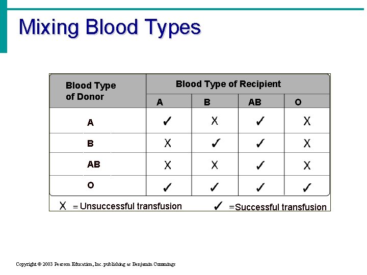 Mixing Blood Types Blood Type of Donor Blood Type of Recipient A B AB