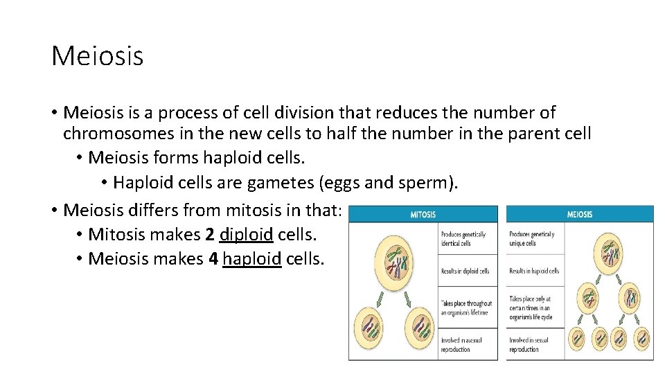 Meiosis • Meiosis is a process of cell division that reduces the number of