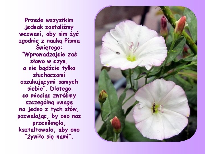 Przede wszystkim jednak zostaliśmy wezwani, aby nim żyć zgodnie z nauką Pisma Świętego: “Wprowadzajcie