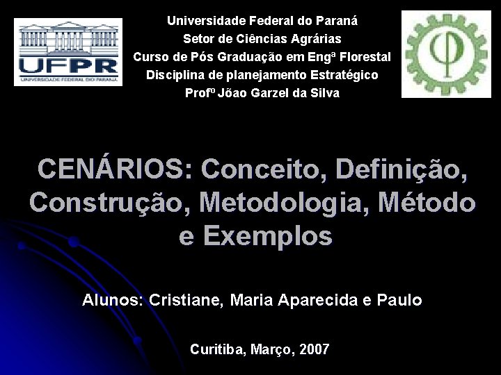 Universidade Federal do Paraná Setor de Ciências Agrárias Curso de Pós Graduação em Engª