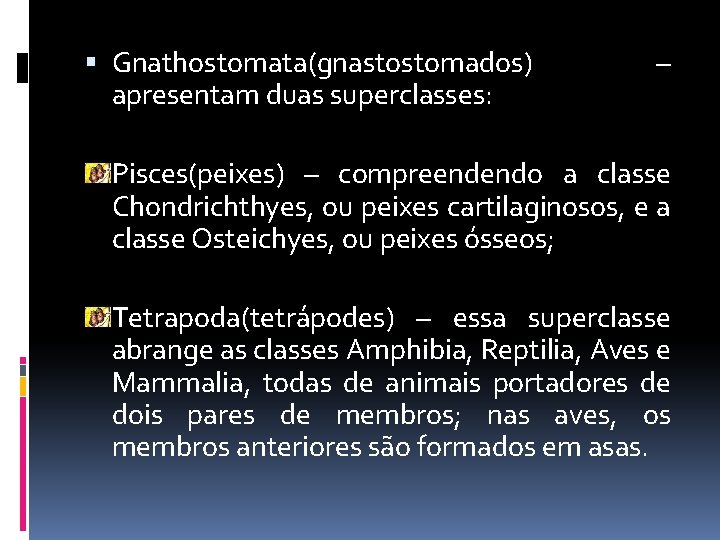  Gnathostomata(gnastostomados) apresentam duas superclasses: – Pisces(peixes) – compreendendo a classe Chondrichthyes, ou peixes