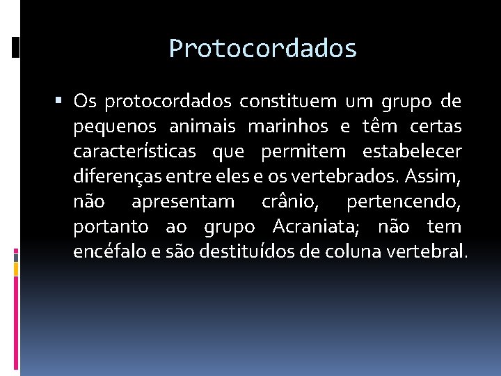 Protocordados Os protocordados constituem um grupo de pequenos animais marinhos e têm certas características