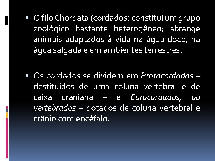  O filo Chordata (cordados) constitui um grupo zoológico bastante heterogêneo; abrange animais adaptados