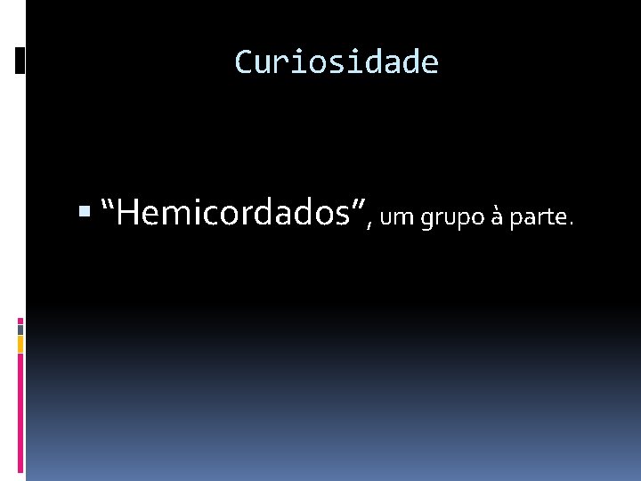 Curiosidade “Hemicordados”, um grupo à parte. 